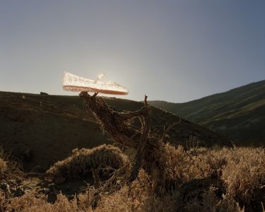 Melissa branding image